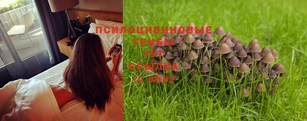 экстази Алзамай